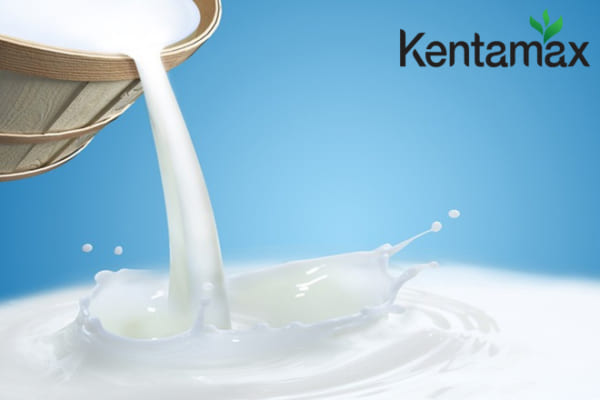Uống ngũ cốc pha sữa để cân nặng phát triển